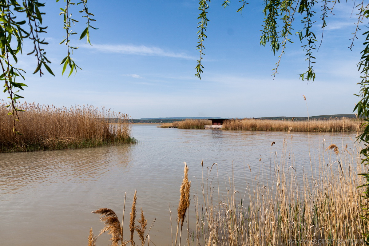 Mörbisch am See